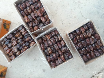 فروش خرما کبکاب
