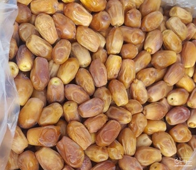 فروش خرما زاهدی