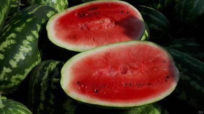 فروش هندوانه