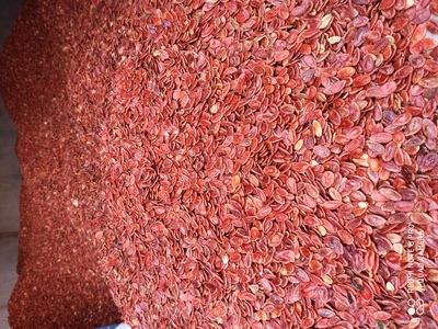 فروش تخمه هندوانه ژاپنی