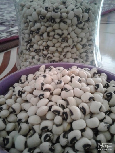 فروش لوبیا چشم بلبلی