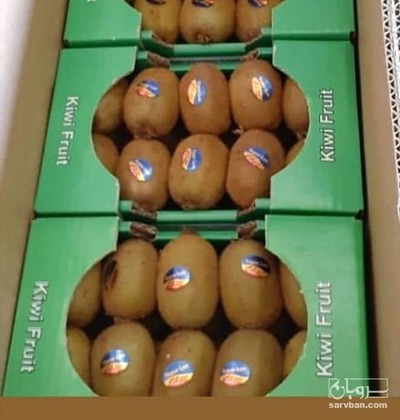 فروش کیوی