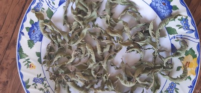 فروش به لیمو (ورون)