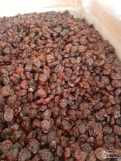 فروش کشمش پلویی
