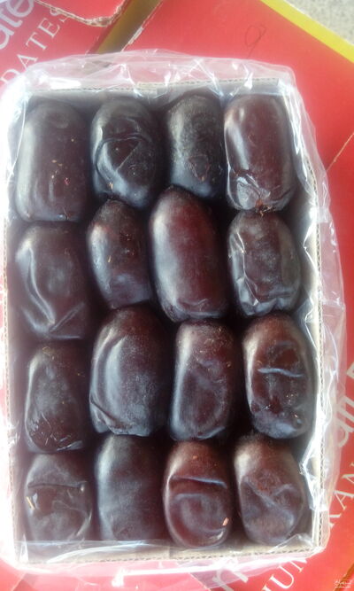 فروش خرما مضافتی