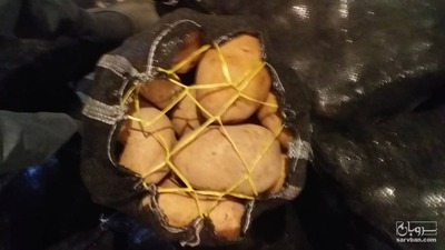 فروش سیب زمینی جلی 5