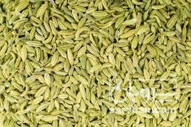 فروش رازیانه