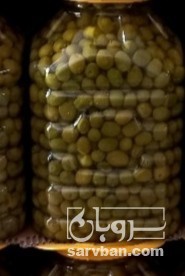 فروش زیتون کنسروی