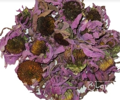 خرید سرخار گل