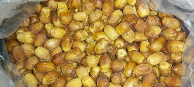 فروش خرما زاهدی