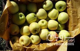 فروش سیب