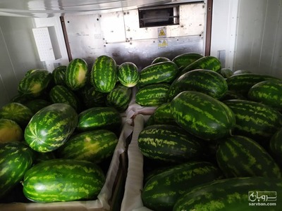 فروش هندوانه