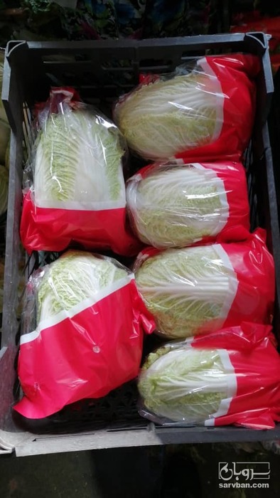 فروش کاهوچینی