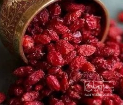 فروش زرشک اناری