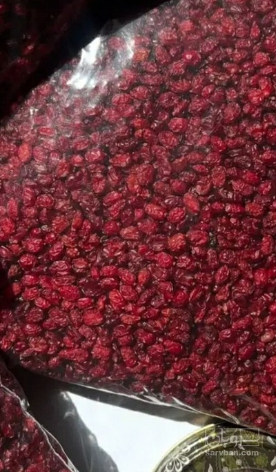 فروش زرشک اناری