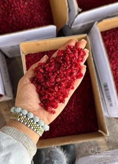فروش زرشک پفکی