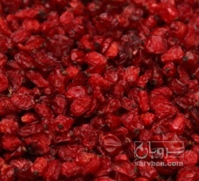 فروش زرشک زیر تالاری