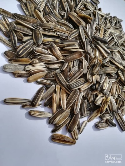 فروش تخمه آفتابگردان