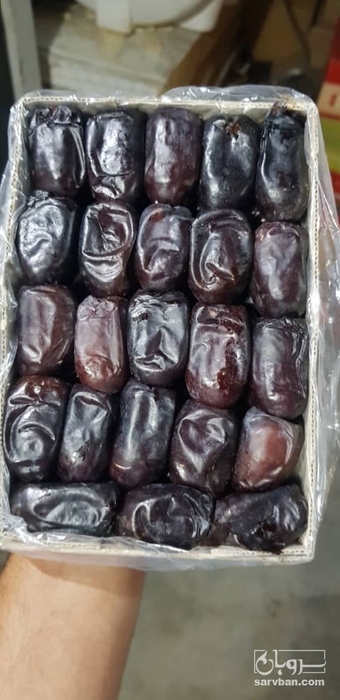 فروش خرمای مضافتی