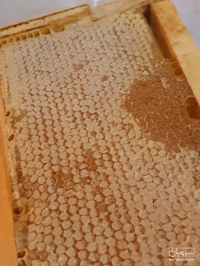 فروش [object Object]