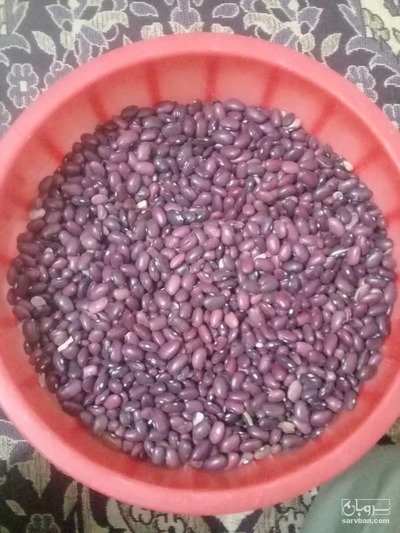 فروش لوبیا قرمز