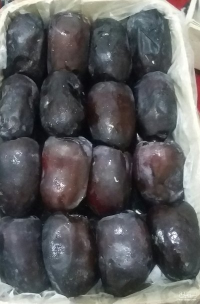 فروش خرما مضافتی