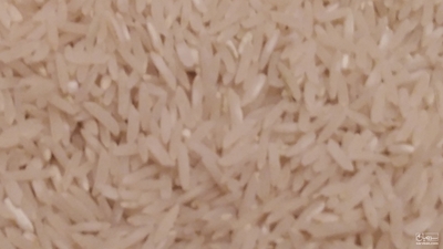 فروش برنج تیسا