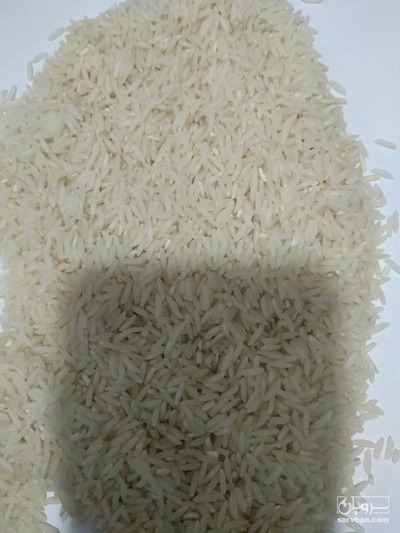 فروش برنج هاشمی