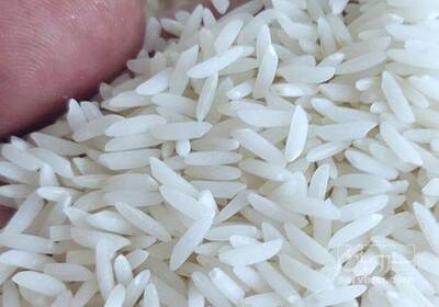 فروش برنج هاشمی