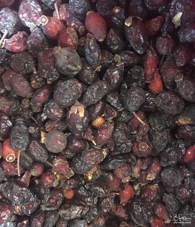 فروش میوه نسترن