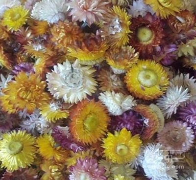 فروش مینا خشک صادراتی