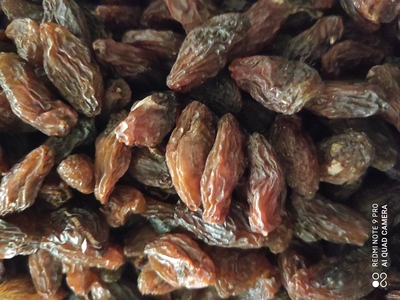 فروش کشمش بجنوردی