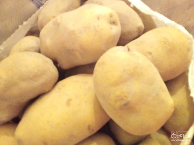 فروش سیب زمینی