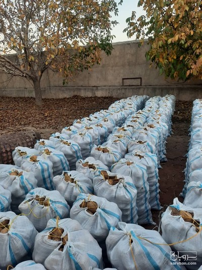 فروش سیب زمینی 97