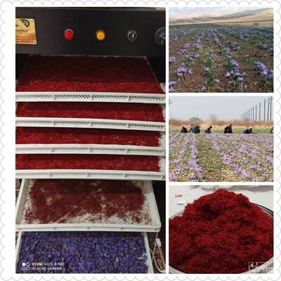 فروش زعفران