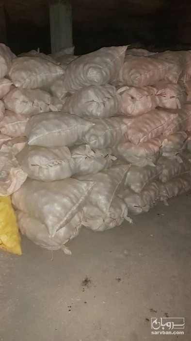 فروش سیب زمینی جلی 4