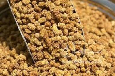 فروش توت خشک