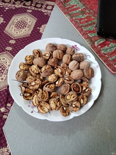 فروش گردو پوست کاغذی