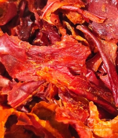 فروش فلفل پاپریکا