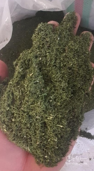 فروش شوید خشک (گیاه‌ دارویی)