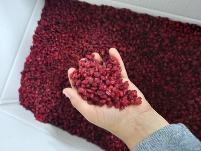 فروش زرشک پفکی