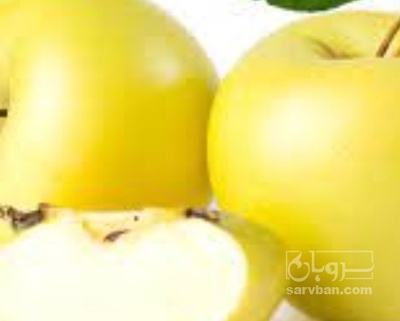 فروش سیب زرد