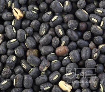 فروش ماش سیاه