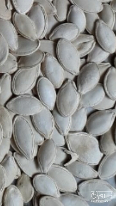 فروش تخمه  کدو بو داده