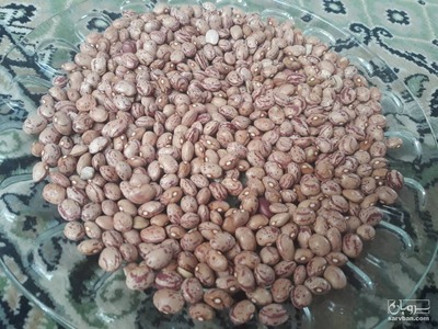 فروش لوبیا چیتی
