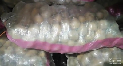 فروش سیب زمینی