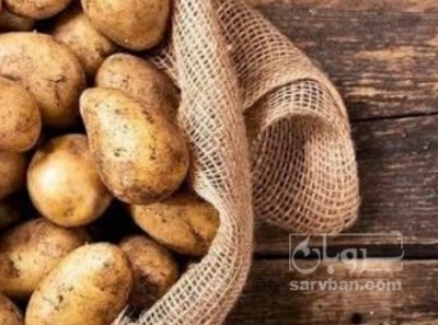 فروش سیب زمینی جلی