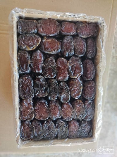 فروش خرمای کبکاب