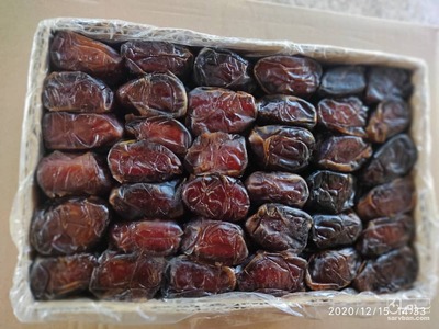 فروش خرمای کبکاب