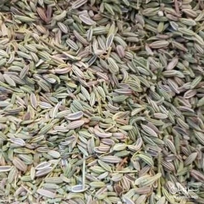 فروش رازیانه